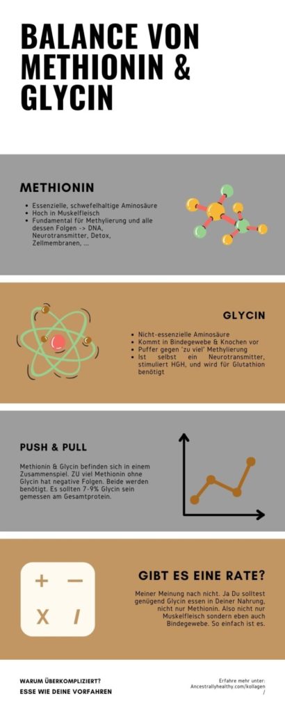 The Balance of Methionine and Glycine