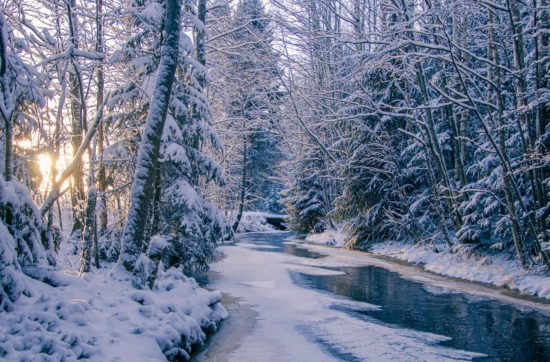 Kältetherapie, wie Eisbaden, bringt viele gesundheitliche Vorteile, insbesondere im europäischen Winter.