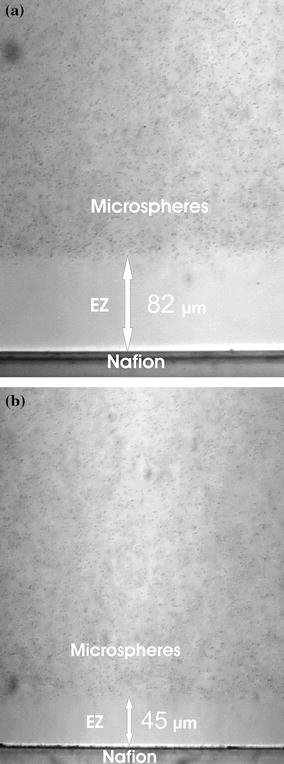 Exclusion of microspheres close to the Nafion surface in pure water a and 95 ethanol