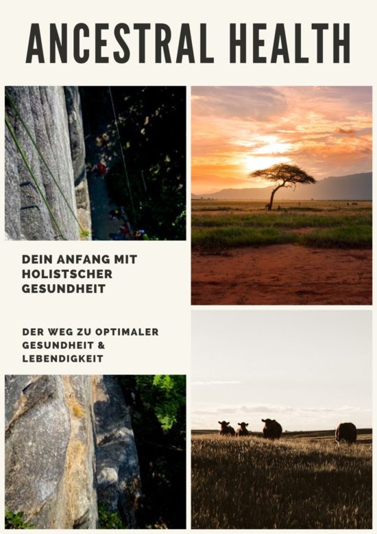 Das Cover zu meinem Gesundheitsguide, dem ganzheitlichen Ansatz für holistische Gesundheit.