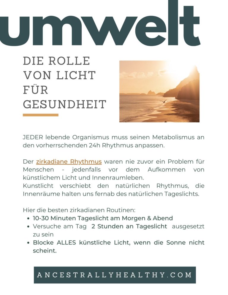 Modul 3 kümmert sich um die Rollen von Tageslicht, Quantengesundheit und den zirkadianen Rhyhtmus.