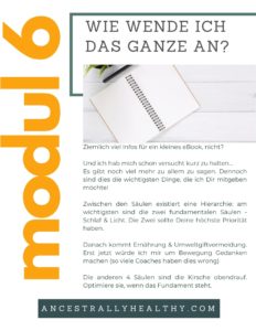 Modul 6 wird praktisch und erklärt Dir, wie Du all die Gesundheitstipps am besten holistisch anwendest.